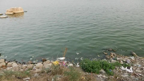 Garbage view at the shore of lake, Plastic waste at the shore of lake Stock Footage 147683971