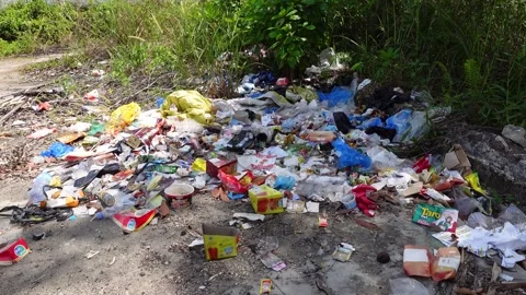 Garbage was thrown away not in the proper garbage disposal site, in an empt.. Stock-Footage 300989713