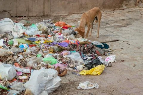 Garbage waste items and plastic begs liter in open at day from different angl Stock Photos