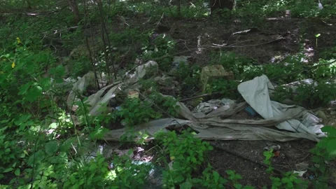 Garbage, waste lies plastic thrown out in the forest in nature Stock Footage 276075397
