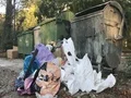 Garbage waste near by container  4k or 4k+ Resolution