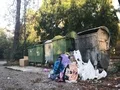 Garbage waste near by container  4k or 4k+ Resolution