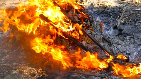 Garbage wastes are covered with flames Vídeos de archivo 91401644