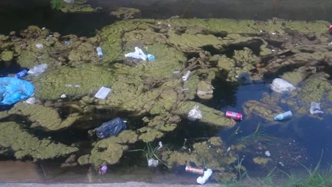 Garbage In Water. Improper Waste Managem... | Stock Video | Pond5