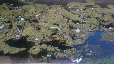 Garbage In Water. Improper Waste Management - Used Plastic Water Bottles. Vidéo 244680054