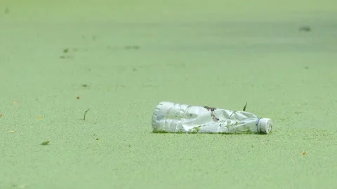 Garbage in the water is not collected by anyone. Stock Footage 190842900