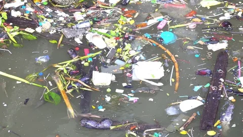 Garbage water pollution Stock Footage 106220866