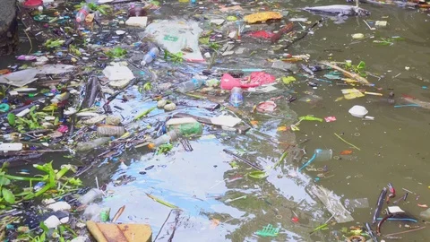 Garbage water pollution Stock Footage 106221011