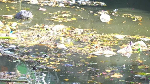Garbage water pollution Stock Footage 106852419