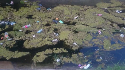 Garbage Water Pollution, Waste, Garbage Waste Floating On Waters Surface. Stockbeeldmateriaal 244695554