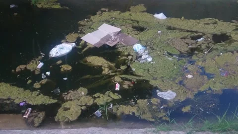 Garbage Water Pollution, Waste, Garbage Waste Floating On Waters Surface. Video stock 244697011