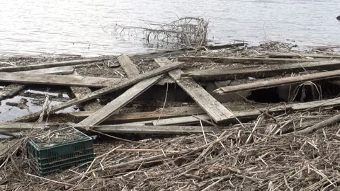 Garbage in the water on the river bank Video stock 168644658