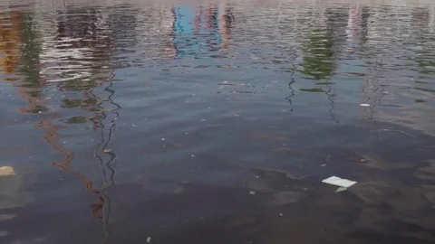 Garbage in water of river in marina. Stock-Footage 77650603