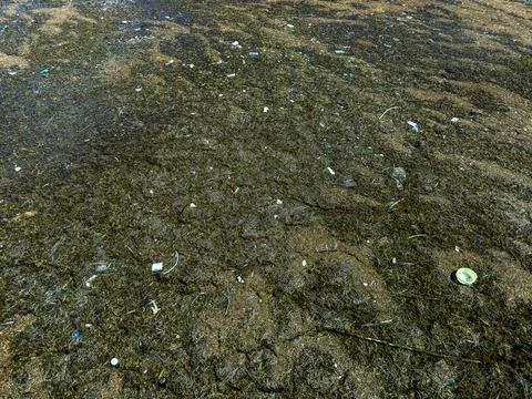 Garbage in the waters, pollution, and environment concept. Stock Photos
