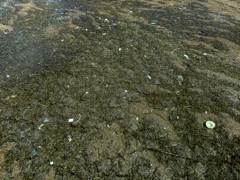 Garbage in the waters, pollution, and environment concept. Stock Photos