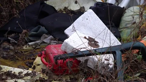 Garbage in the wild. Waste in nature Stock Footage 145204296