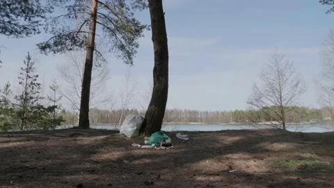 Garbage in the woods after picnic. Stock Footage 130430269