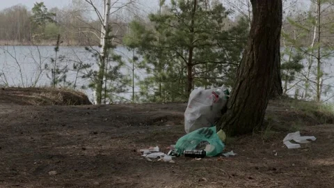 Garbage in the woods after picnic. Stock Footage 130430344