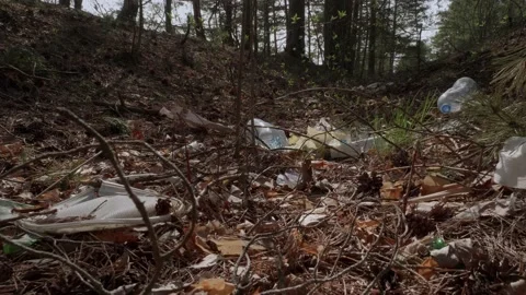 Garbage in the woods after picnic. Stock Footage 130430380