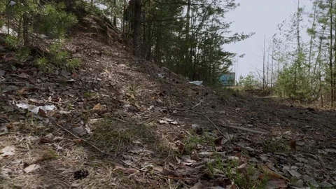 Garbage in the woods after picnic. Stock Footage 130430408
