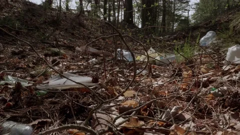 Garbage in the woods after picnic. Stock Footage 130430409