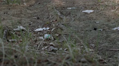 Garbage in the woods after picnic. Stock Footage 130430416