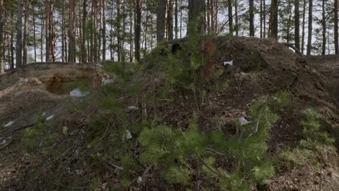 Garbage in the woods after picnic. Stockbeeldmateriaal 130430422