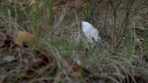 Garbage in the woods after picnic. Stock Footage 130430427