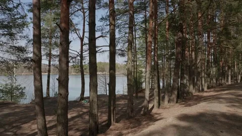 Garbage in the woods after picnic. Stock Footage 130430429