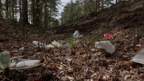 Garbage in the woods after picnic. Stock Footage 130430462
