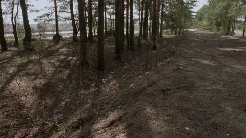 Garbage in the woods after picnic. Stock Footage 130430488