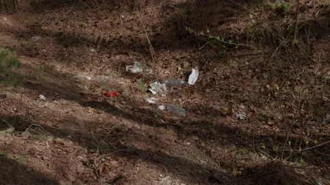 Garbage in the woods after picnic. Stock Footage 130430500