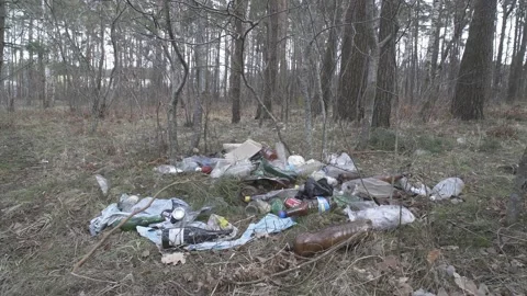 Garbage in the woods. Forest pollution. Vídeos de archivo 234622252