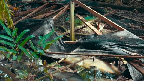 Garbage in the yard of Asia Stock Footage 73225552