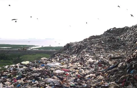 Garbage Yard Foto stock