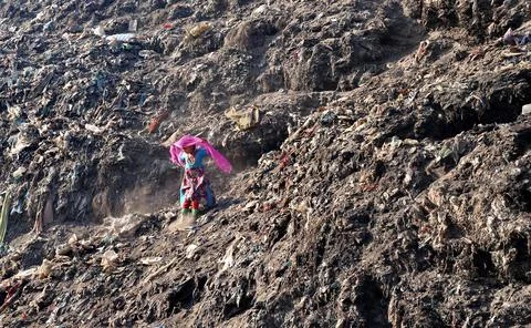 Garbage Yard 库存照片