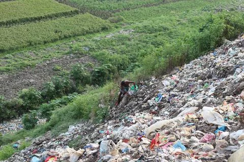 Garbage Yard 库存照片