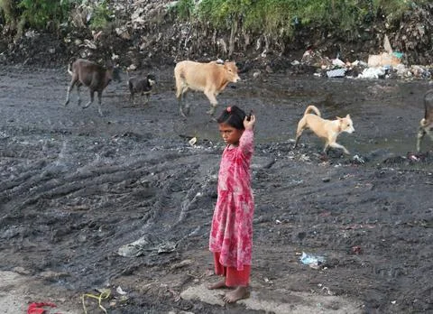 Garbage Yard 库存照片