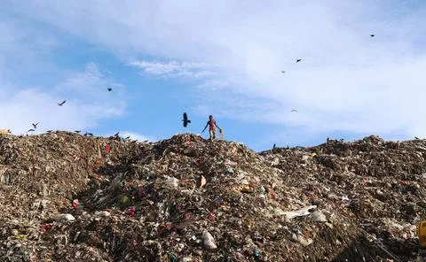 Garbage Yard 库存照片