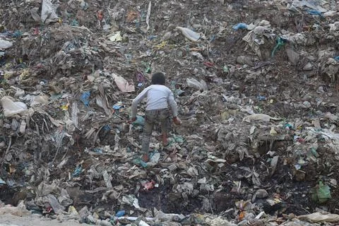 Garbage Yard 库存照片