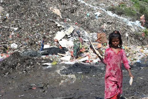 Garbage Yard 库存照片