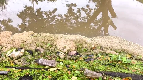 Garbage1 Stock Footage 318199279