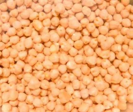 Garbanzos. 库存照片