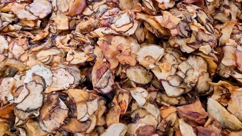 Garcinia atroviridis Video stock 320146368