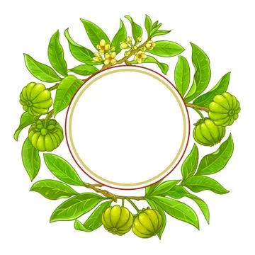 Garcinia vector frame Stock Illustration