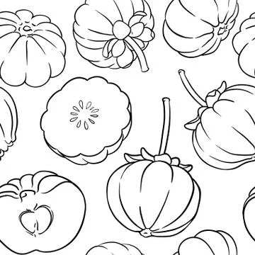 Garcinia vector pattern Stock Illustration