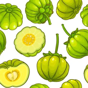 Garcinia vector pattern Stock Illustration