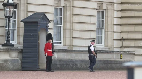 Gard at Buckingham Palace Stock Footage 87618476