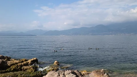 Garda lake in Italy Stock Footage 340531622