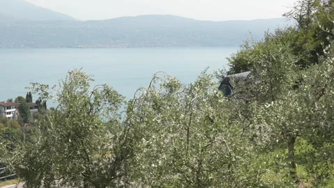Garda lake view car going through frame Video stock 133336207
